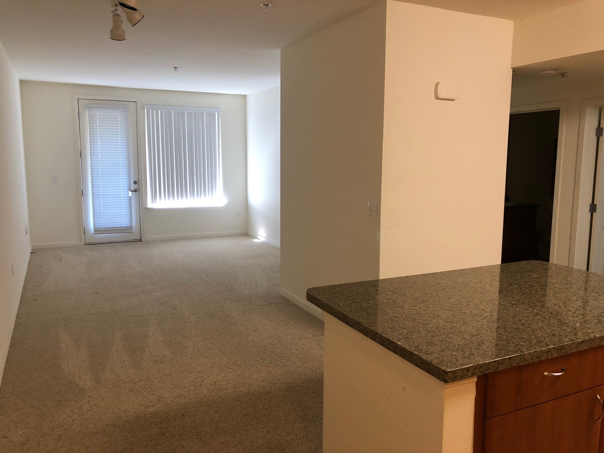 Original apartment photograph: an empty carpeted room, a window and glazed door, and a kitchen counter in the foreground.